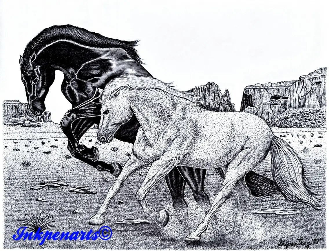 Pen and Ink rendering